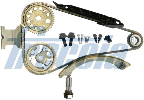 Timing Chain Kit (WG1909991)