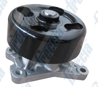 Water Pump, engine cooling (WG1910143)