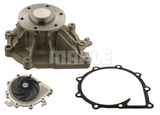 Water Pump, engine cooling (WG2181864)