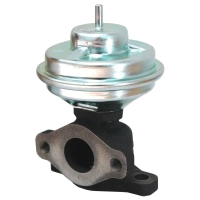 EGR Valve (WG1015288)