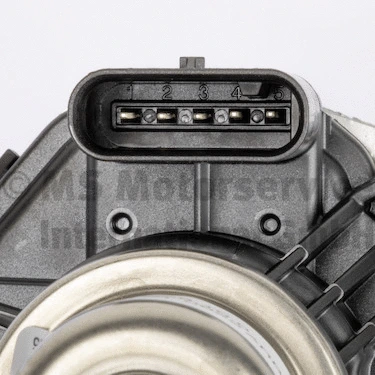 EGR Valve (WG2170951)