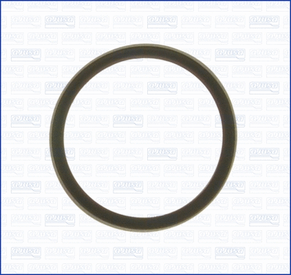 Seal, thermostat (WG1751239)