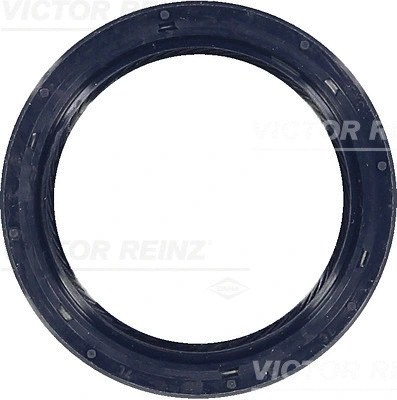 Shaft Seal, crankshaft (WG1250474)