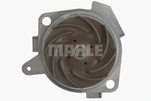 Water Pump, engine cooling (WG2181415)