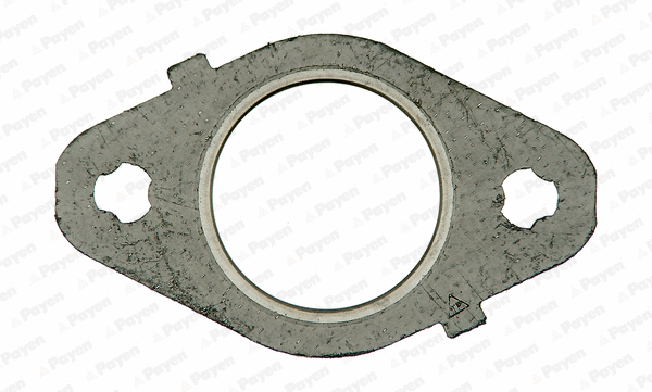 Gasket, exhaust manifold (WG1150573)