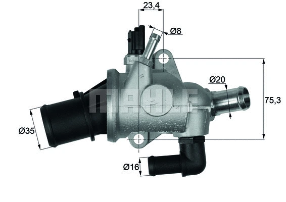 Thermostat, coolant (WG1217619)