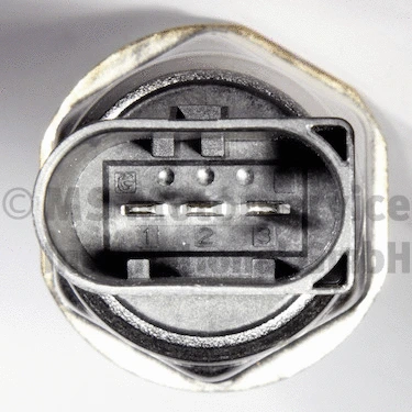 Sensor, fuel pressure (WG2170978)