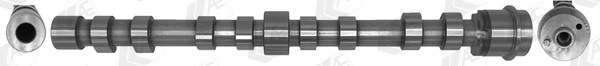 Camshaft (WG2202338)