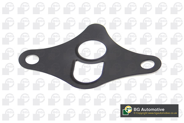 Gasket, EGR valve (WG1756542)