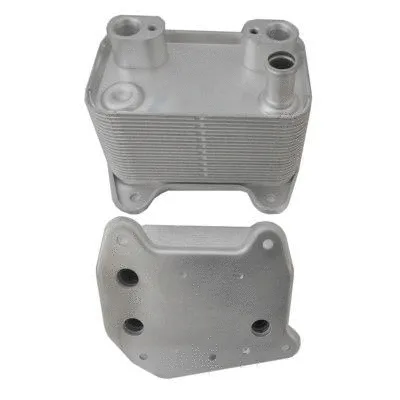 Oil Cooler, engine oil (WG1899770)