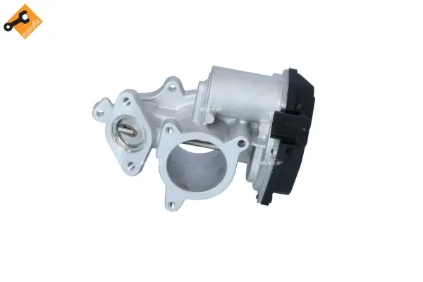 EGR Valve (WG2161806)