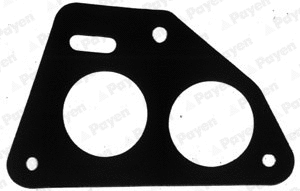 Gasket, intake manifold (WG1090694)