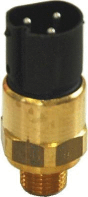 Temperature Switch, radiator fan (WG1748962)
