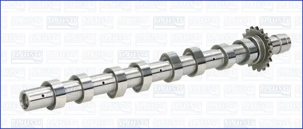 Camshaft (WG1456309)