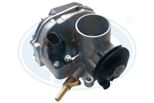 Throttle Body (WG1495056)