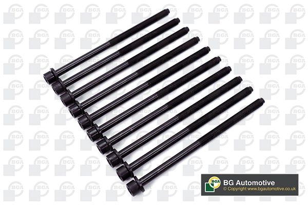 Cylinder Head Bolt Set (WG1490040)