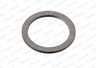 Seal Ring, oil drain plug (WG2046651)