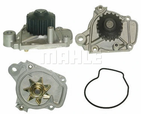 Water Pump, engine cooling (WG2181390)
