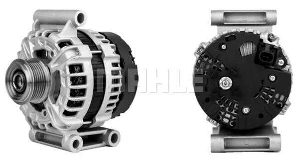 Alternator (WG2203022)