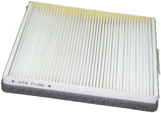 Filter, cabin air (WG1747016)
