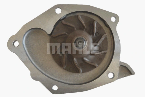 Water Pump, engine cooling (WG2181924)