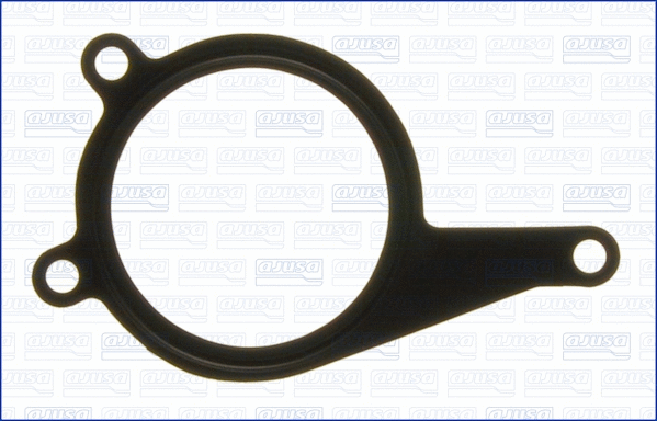 Gasket, vacuum pump (WG1448728)