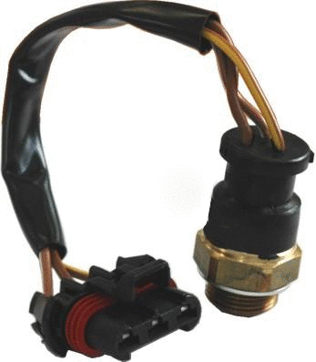 Temperature Switch, radiator fan (WG1748961)