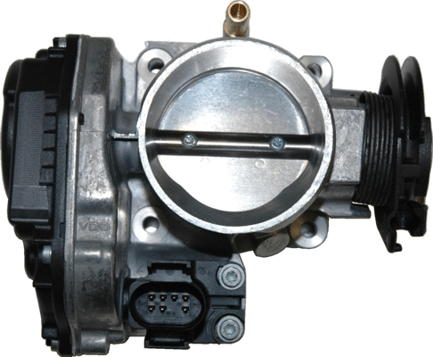 Throttle Body (WG1013494)