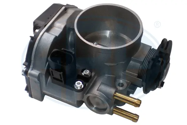 Throttle Body (WG1495062)