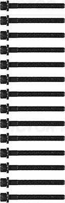 Cylinder Head Bolt Set (WG1242881)