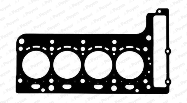 Gasket, cylinder head (WG2046435)