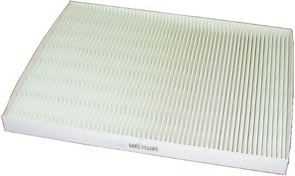 Filter, cabin air (WG1746937)