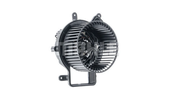 Interior Blower