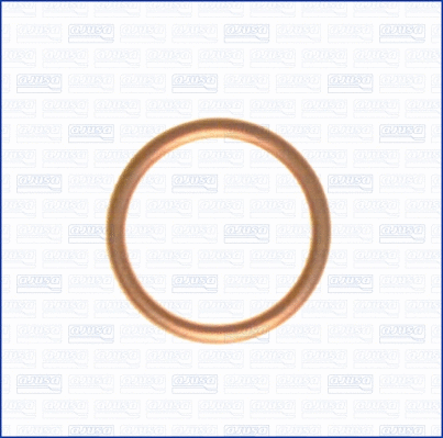 Seal Ring, oil drain plug (WG1163671)