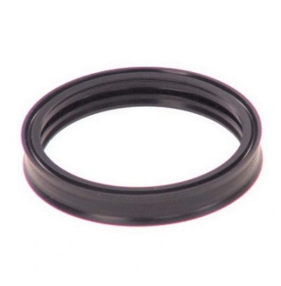 Shaft Seal, manual transmission (WG1220907)