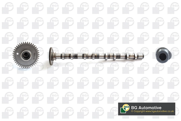 Camshaft (WG1910534)