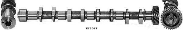 Camshaft (WG1051565)