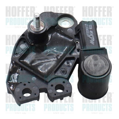 Alternator Regulator (WG2262658)