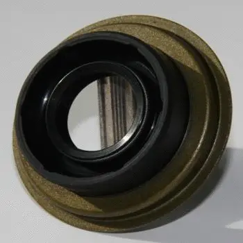 Shaft Seal, manual transmission (WG1222106)