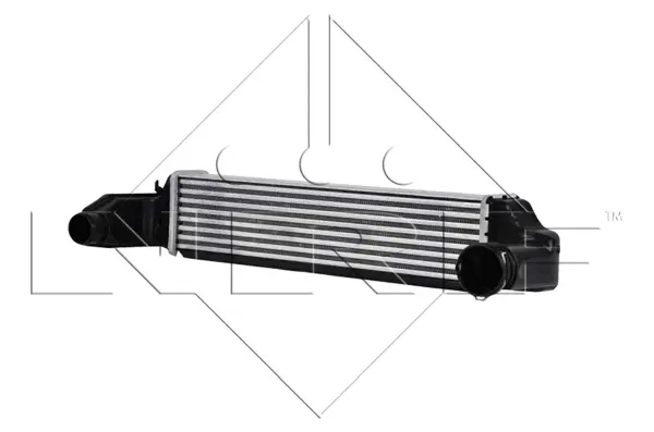 Charge Air Cooler (WG1723739)