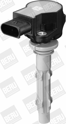 Ignition Coil (WG1487603)