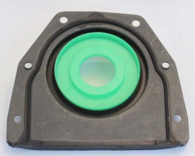 Shaft Seal, crankshaft (WG1225898)