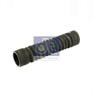 Radiator Hose (WG2306413)