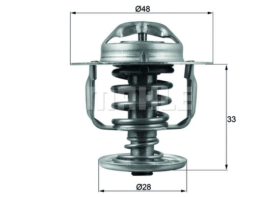 Thermostat, coolant (WG1217867)