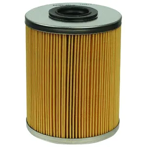 Fuel Filter (WG1499034)