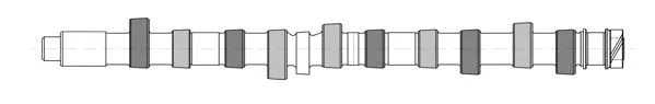 Camshaft (WG1171002)