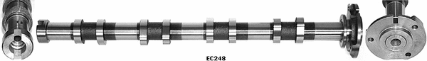 Camshaft (WG1051366)
