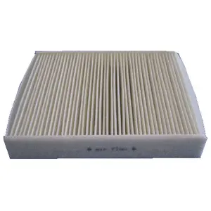 Filter, cabin air (WG1774723)