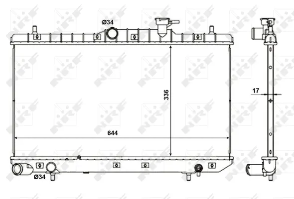 Radiator, engine cooling (WG1723091)