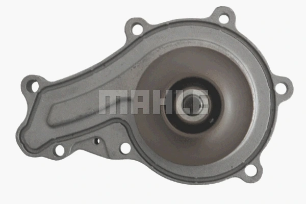 Water Pump, engine cooling (WG2182079)